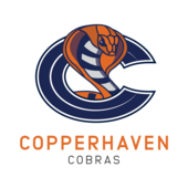 Copperhaven School logo
